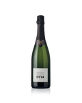 D'EVA Brut MDV, bottiglia di spumante trentino su sfondo bianco