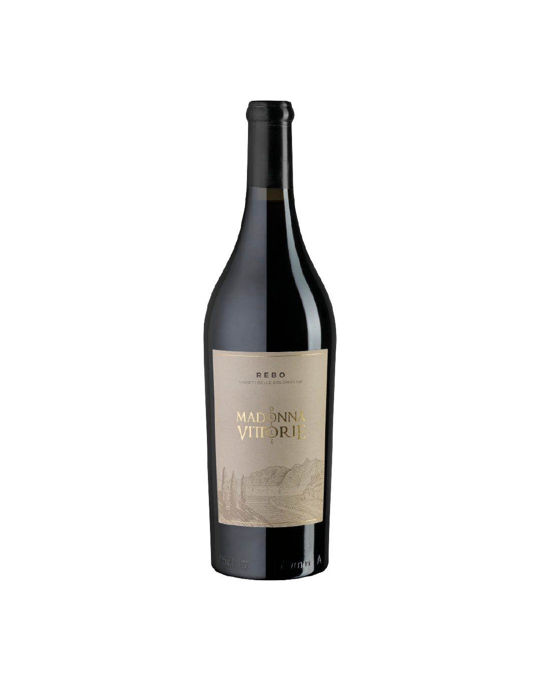 Rebo Vigneti delle Dolomiti MDV, bottiglia di vino rosso trentino su sfondo bianco
