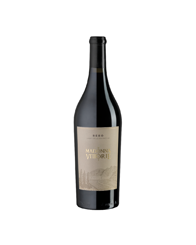 Rebo Vigneti delle Dolomiti MDV, bottiglia di vino rosso trentino su sfondo bianco