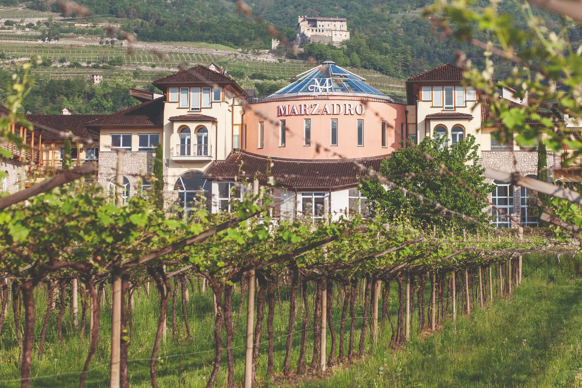 Distilleria Marzadro, vista esterna dello stabilimento